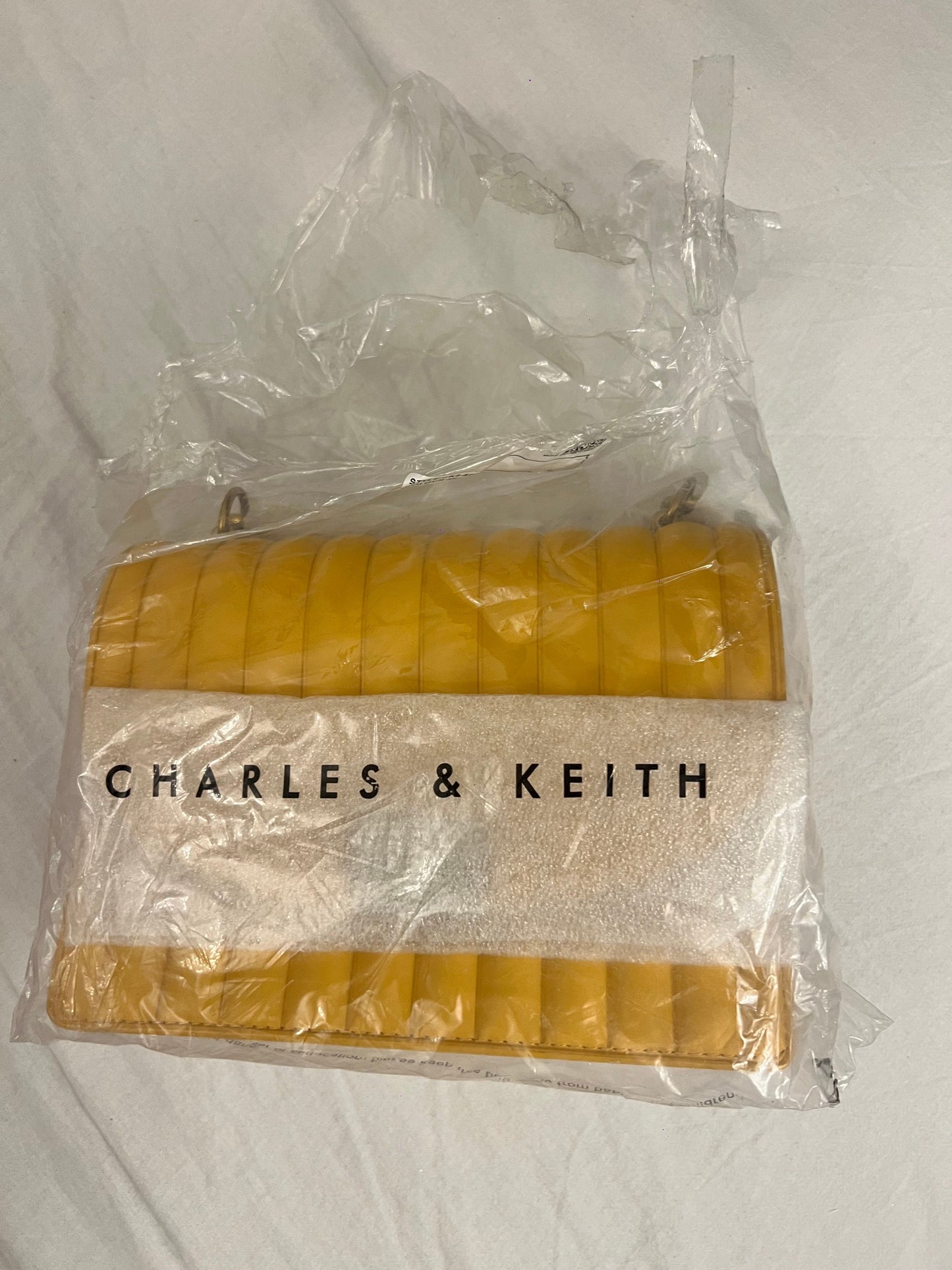 CHARLES & KEITH Bag
