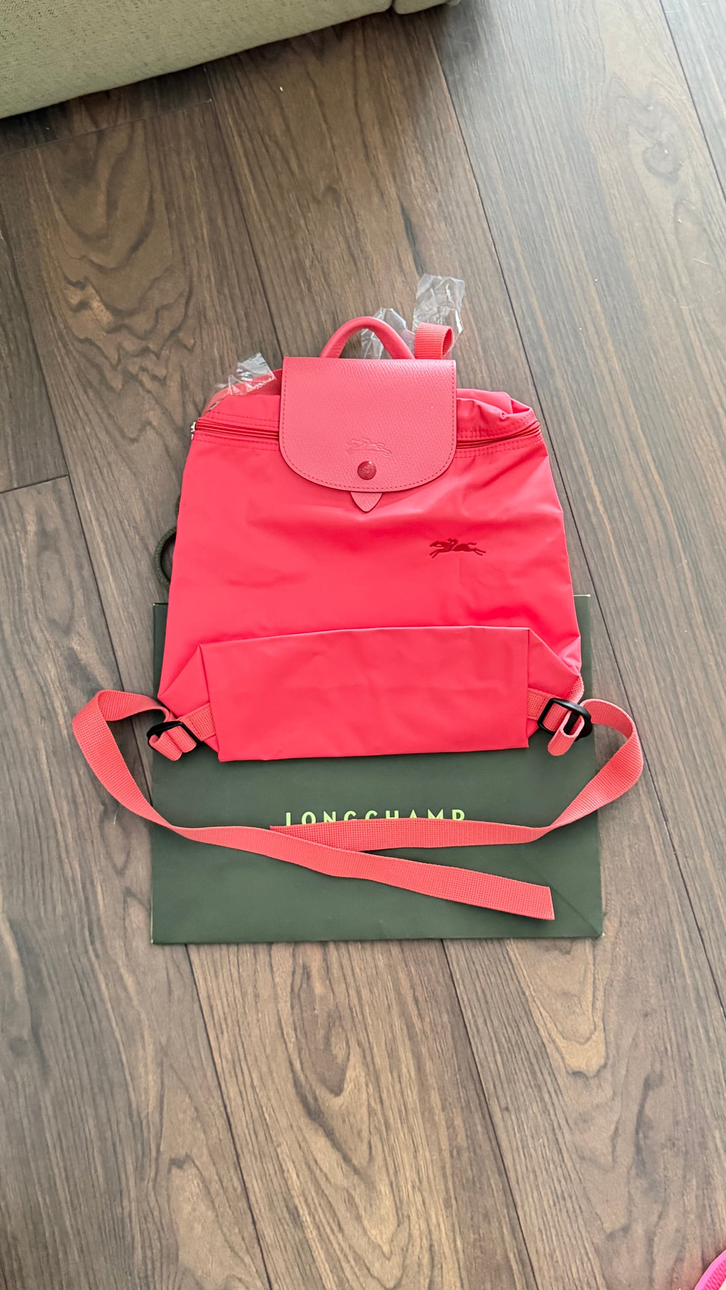 Longchamp Backpack