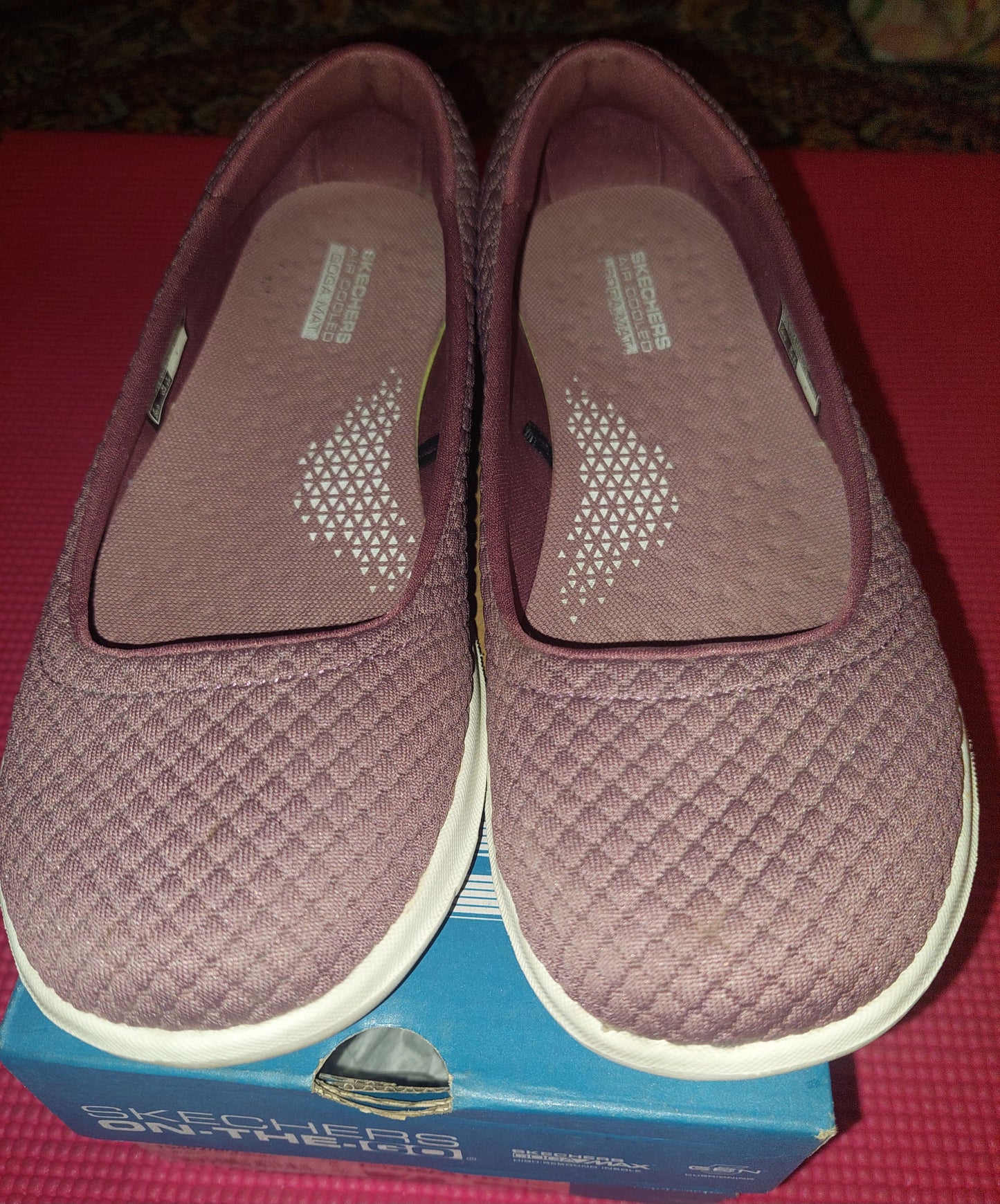 Skechers Shoes