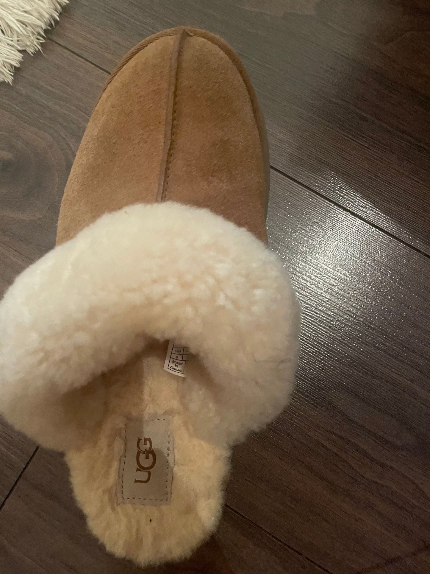 UGG Slippers