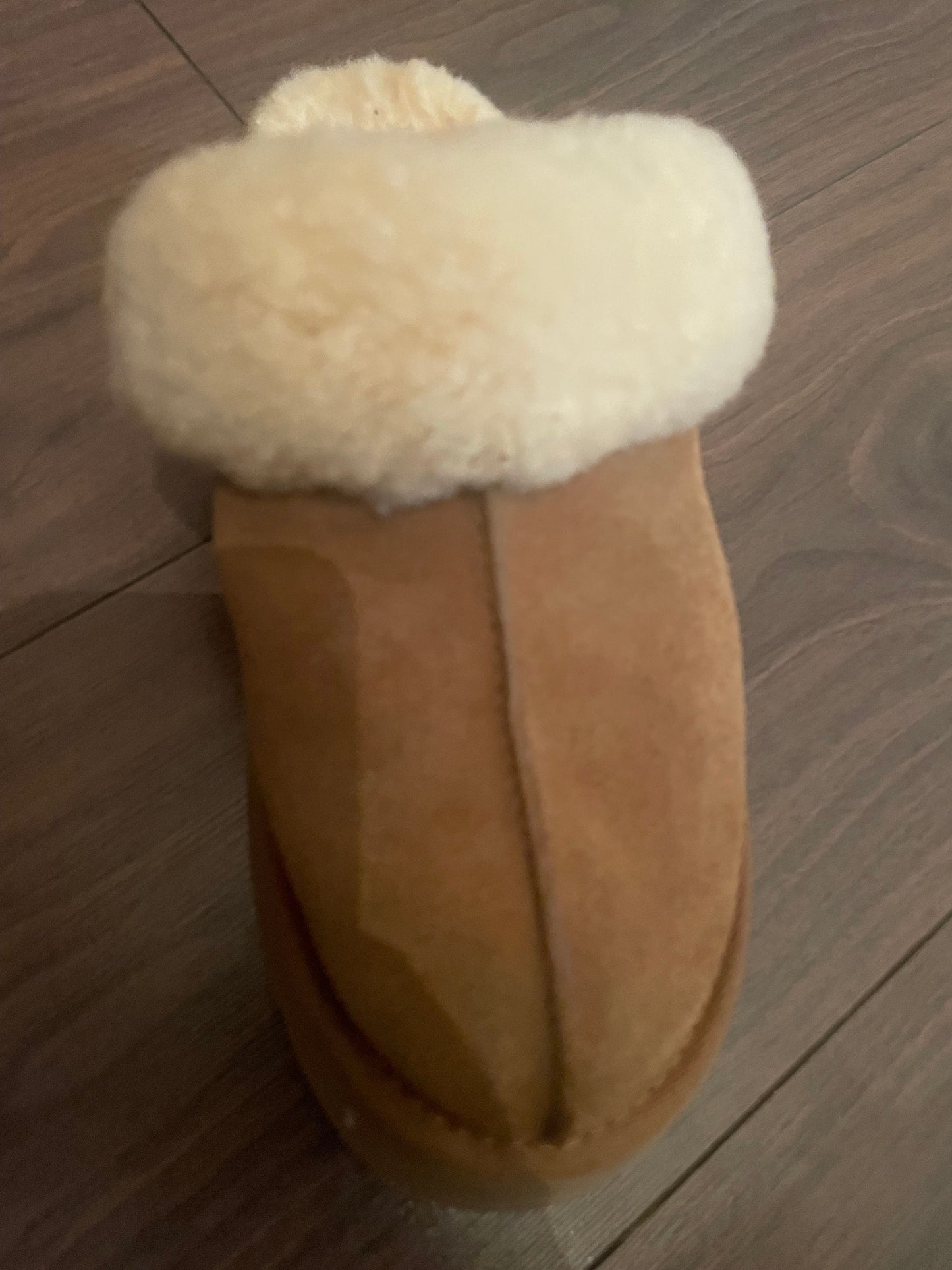 UGG Slippers