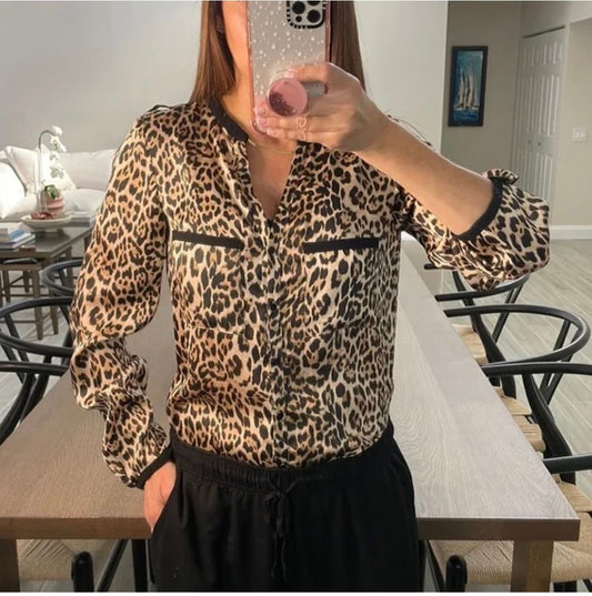 ZARA Blouse