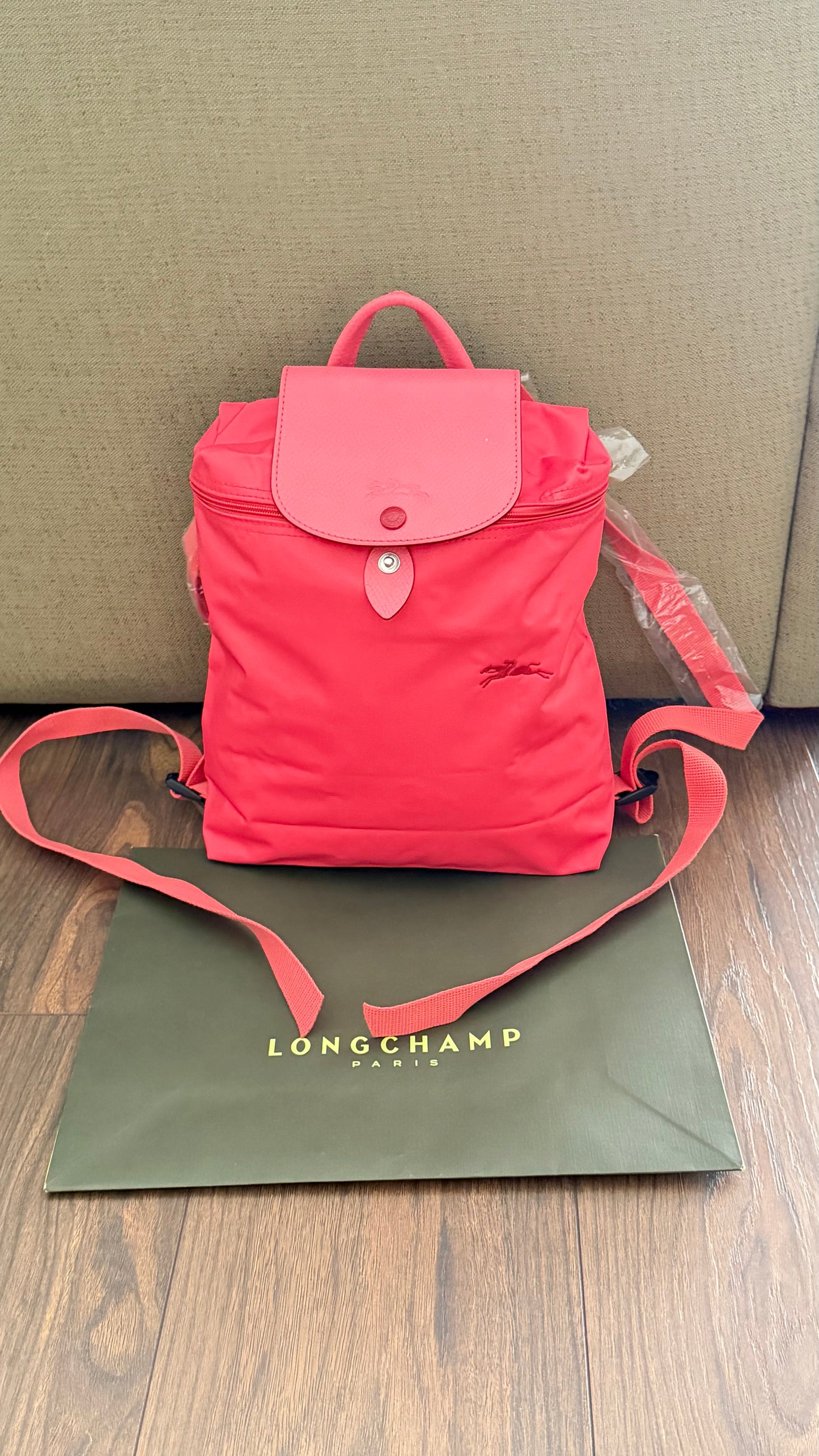 Longchamp Backpack