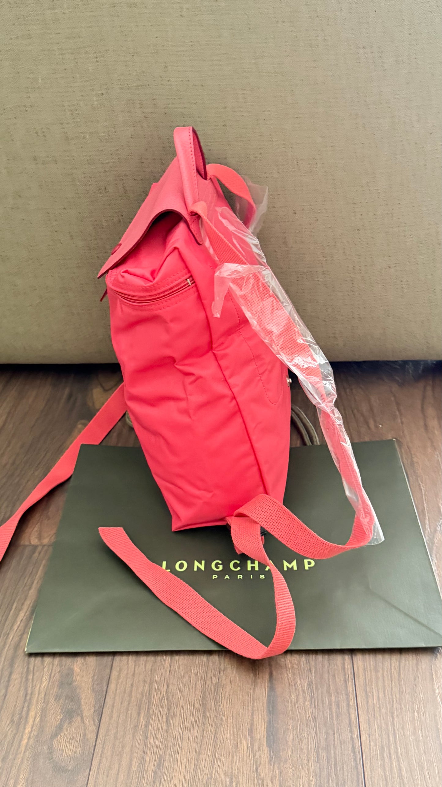 Longchamp Backpack