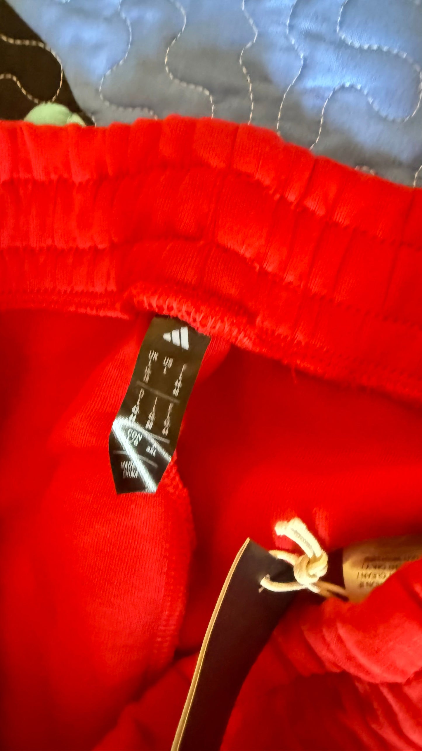 Adidas Pants