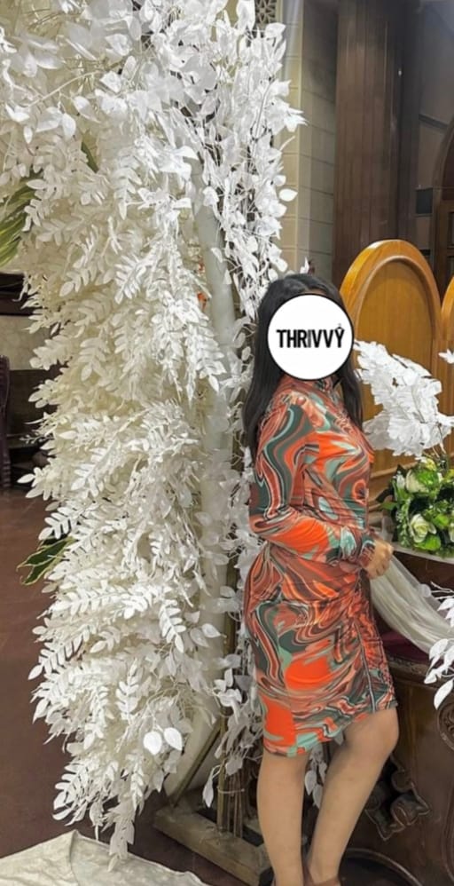 PrettyLittleThing Dress