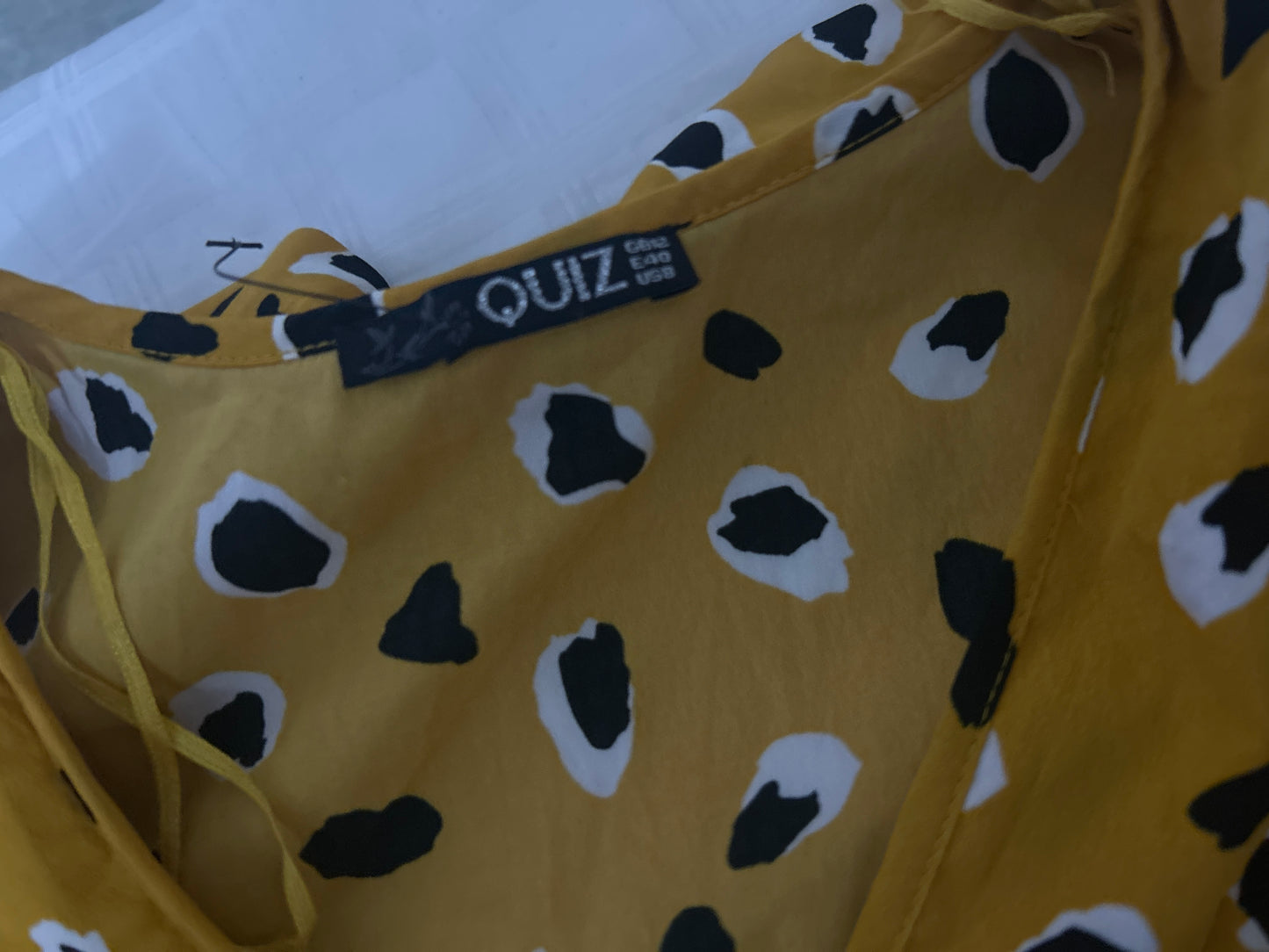 QUIZ Dress