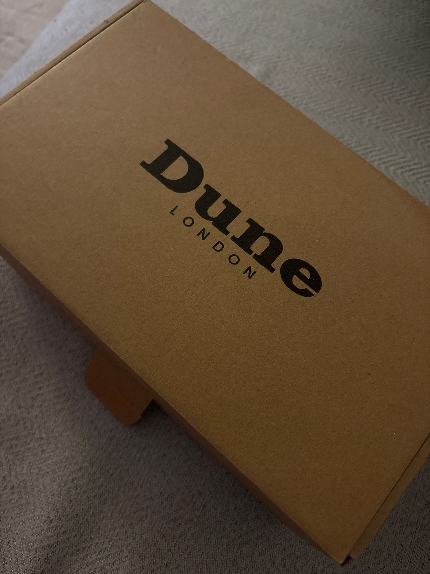 Dune London Heels