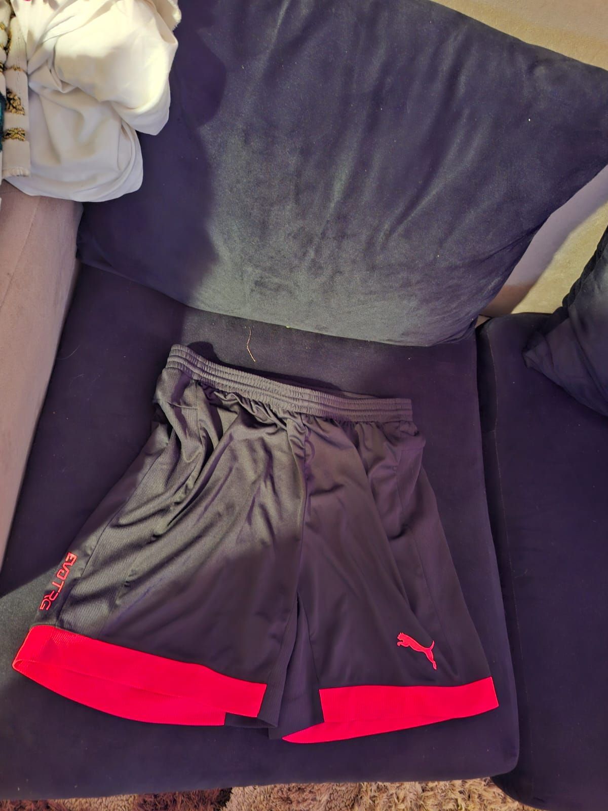 PUMA Shorts